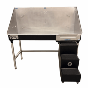 ADA Elite Bathing Tub with Steps and Door